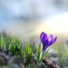istockphoto 1370920249 612x612 1