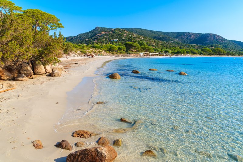 plage scaled